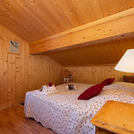 Apartment Le Au Tour In-ski Out - Happy